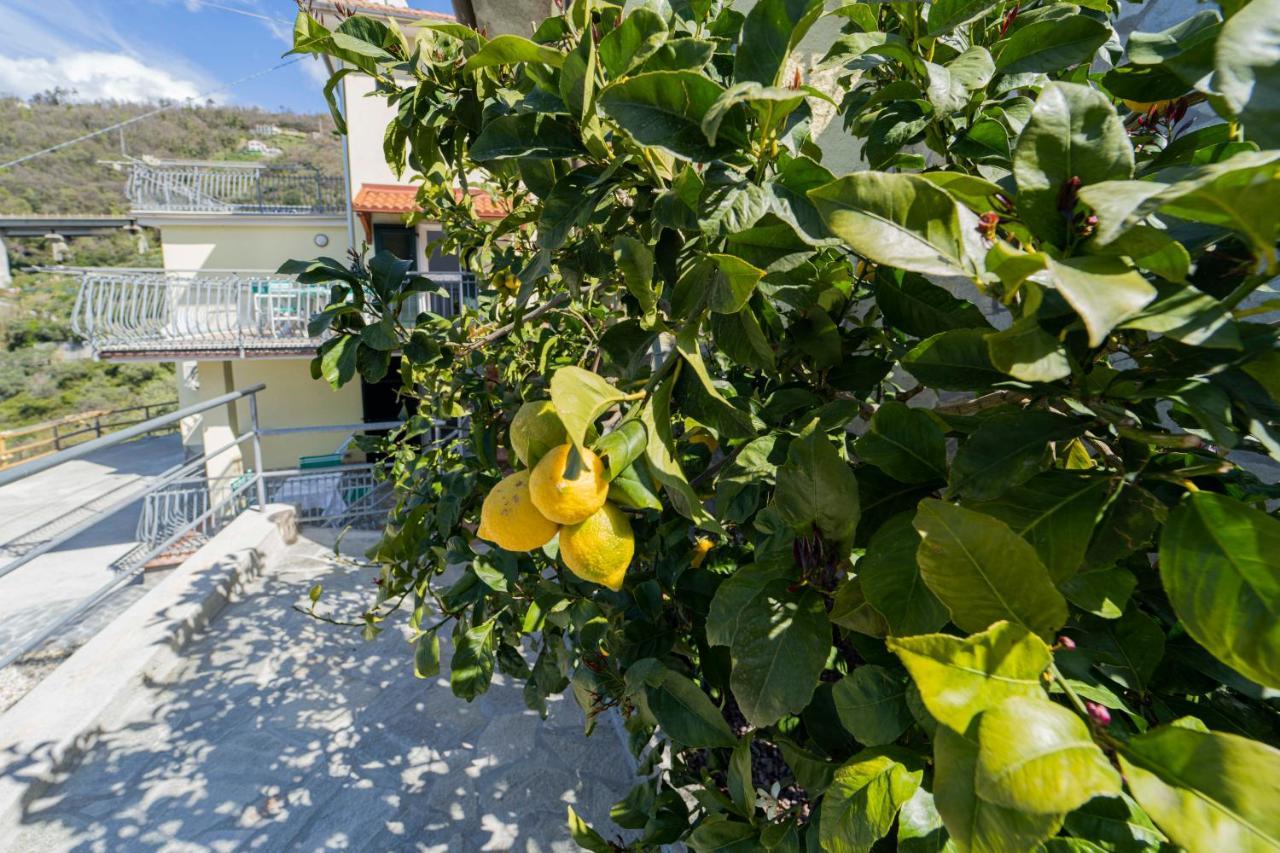 Casa Vacanza Il Portico Moneglia Buitenkant foto